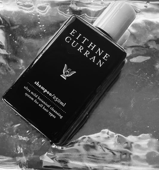 Daily Shampoo
